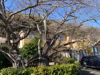 金龍寺(神奈川県)