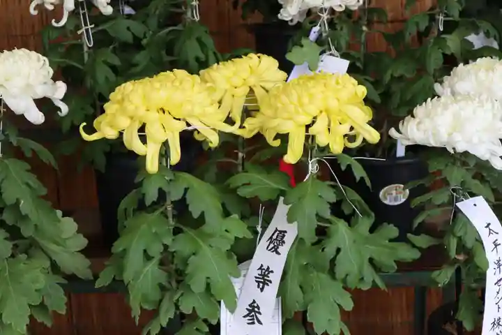 高麗神社のその他建物