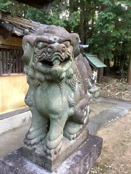 熊野社(塔野地東屋敷)の狛犬