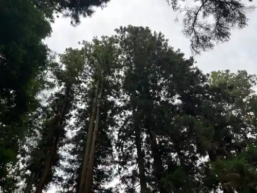 大宮温泉神社(栃木県)