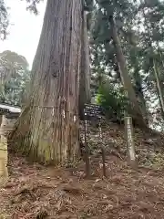 大宮温泉神社の自然