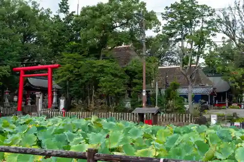 青井阿蘇神社(熊本県)