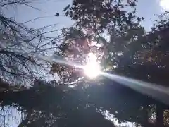 足羽神社(福井県)