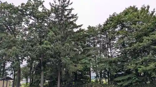 屈足神社の自然