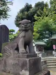 赤羽八幡神社の狛犬