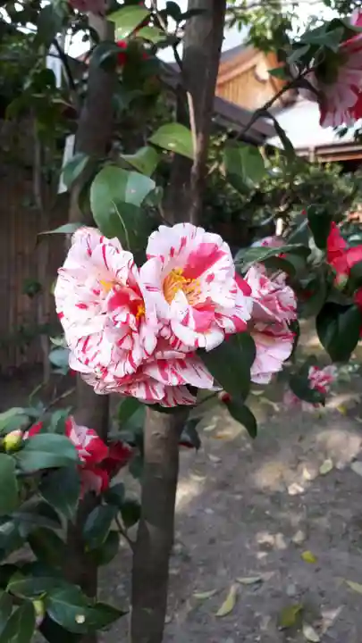 城南宮(京都府)