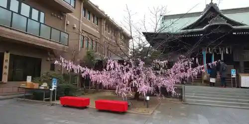桜神宮のその他建物