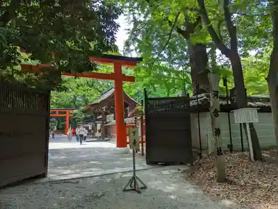 河合神社（鴨川合坐小社宅神社）(京都府)