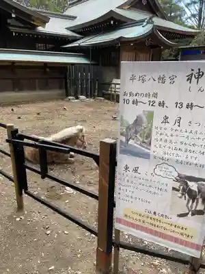 平塚八幡宮(神奈川県)