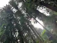 大宮温泉神社の自然