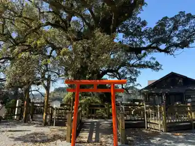 蒲生八幡神社の{uncategorized: "未分類", other: "その他", undefined: "問題あり", building: "その他建物", grave: "お墓", sacred_gate: "鳥居", guardian: "狛犬", statue: "像", buddha: "仏像", history: "歴史", nature: "自然", garden: "庭園", animal: "動物", pagoda: "塔", temizu: "手水舎", mountain_gate: "山門・神門", sanctuary: "本殿・本堂", subordinate: "末社・摂社", art: "芸術", scenery: "景色", jizo: "地蔵", ema: "絵馬", goshuin: "御朱印", omikuji: "おみくじ", items: "授与品その他", amulet: "お守り", goshuincho: "御朱印帳", eats: "食事", festival: "お祭り", votive_dance: "神楽", shichigosan: "七五三参", wedding: "結婚式", experience: "体験その他", initially: "初詣", around: "周辺", anti_infection: "感染症対策"}