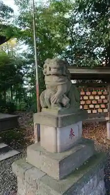 立川熊野神社の狛犬