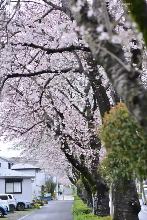 白笹稲荷神社(神奈川県)