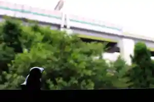 くまくま神社(導きの社 熊野町熊野神社)のその他建物(2021年07月08日(木) 19時07分11秒投稿)