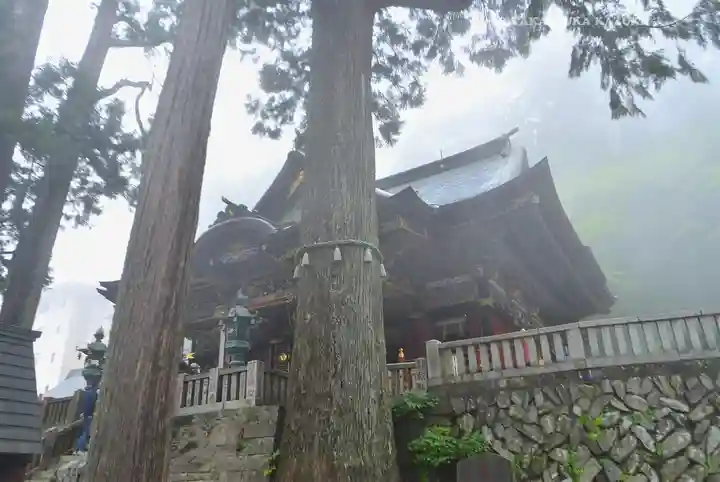三峯神社(埼玉県)
