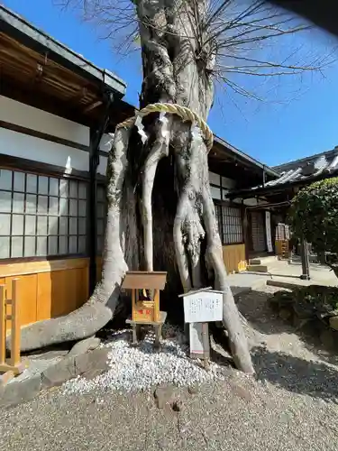 三輪坐恵比須神社の自然