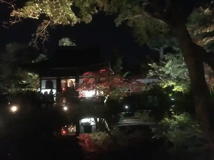 高台寺(高台寿聖禅寺・高臺寺)(京都府)