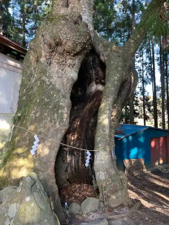 黒沼神社(福島県)