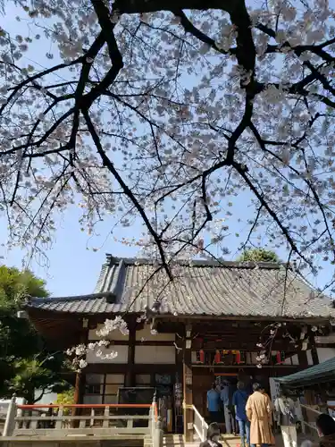 新井薬師（梅照院）の本殿・本堂