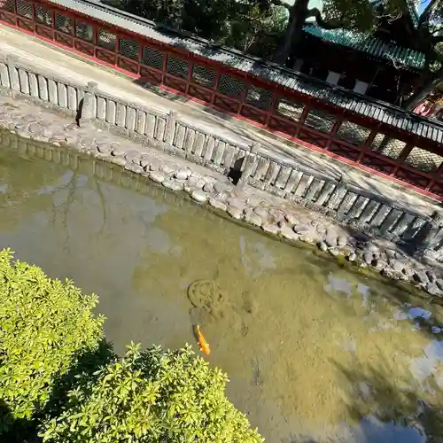 根津神社(東京都)