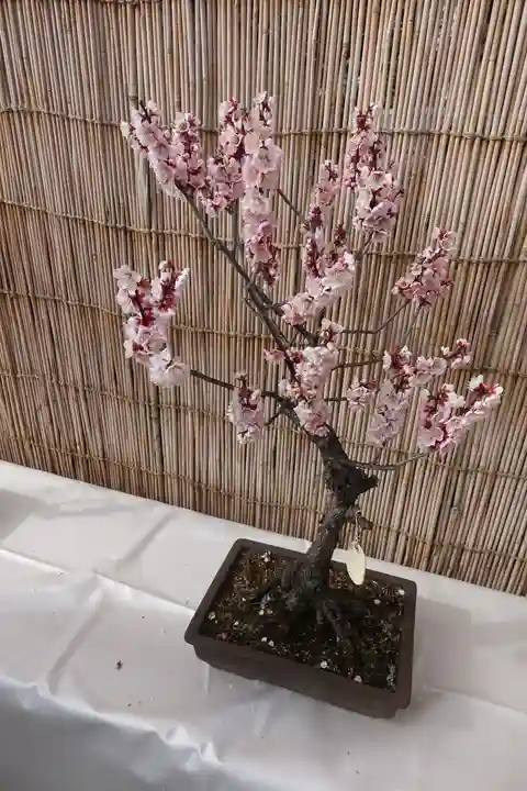 菅原天満宮(菅原神社)の庭園