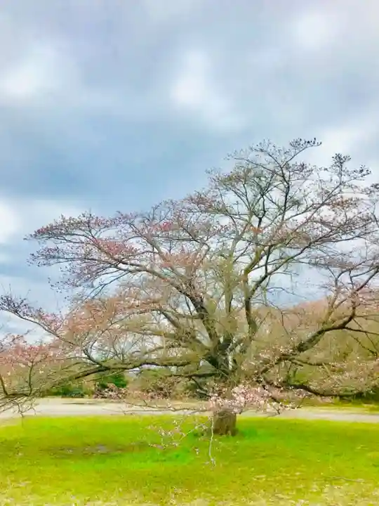 女化神社の自然