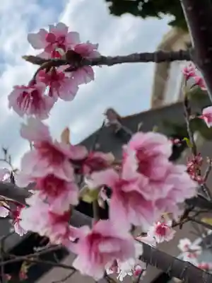 八幡神徳寺(沖縄県)