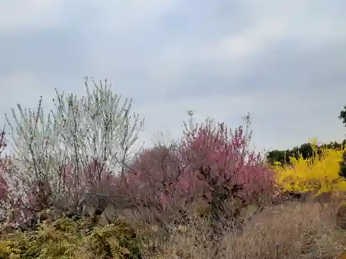 伏木香取神社(茨城県)
