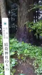 稲荷神社の自然