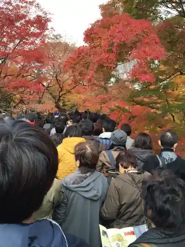 東福禅寺（東福寺）の体験その他