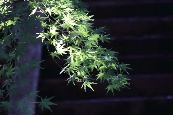 滑川神社 - 仕事と子どもの守り神の自然