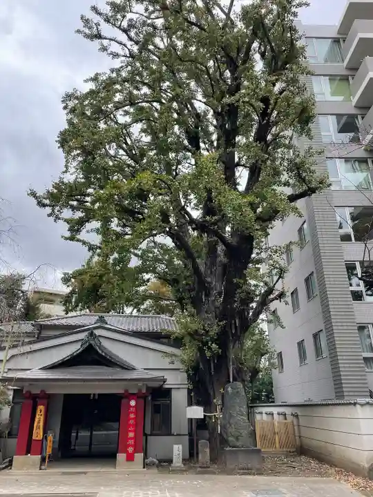 品川寺(東京都)