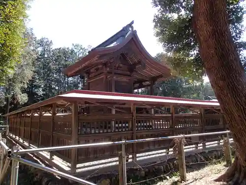 出雲伊波比神社の本殿