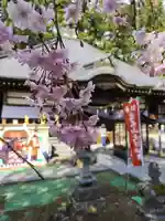 光丸山 法輪寺(栃木県)