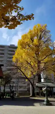 熊野神社(東京都)