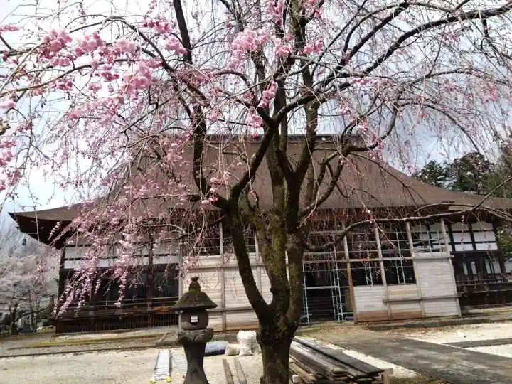 浄興寺(新潟県)