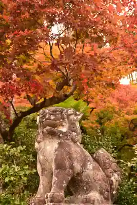 善峯寺(京都府)