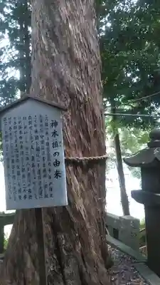 須佐神社の自然