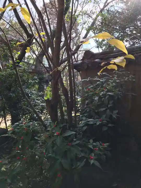 覚苑寺(山口県)