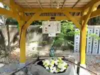 日和佐八幡神社の{uncategorized: "未分類", other: "その他", undefined: "問題あり", building: "その他建物", grave: "お墓", sacred_gate: "鳥居", guardian: "狛犬", statue: "像", buddha: "仏像", history: "歴史", nature: "自然", garden: "庭園", animal: "動物", pagoda: "塔", temizu: "手水舎", mountain_gate: "山門・神門", sanctuary: "本殿・本堂", subordinate: "末社・摂社", art: "芸術", scenery: "景色", jizo: "地蔵", ema: "絵馬", goshuin: "御朱印", omikuji: "おみくじ", items: "授与品その他", amulet: "お守り", goshuincho: "御朱印帳", eats: "食事", festival: "お祭り", votive_dance: "神楽", shichigosan: "七五三参", wedding: "結婚式", experience: "体験その他", initially: "初詣", around: "周辺", anti_infection: "感染症対策"}