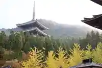 清大寺(越前大仏)(福井県)