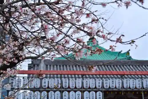 寛永寺不忍池弁天堂の自然