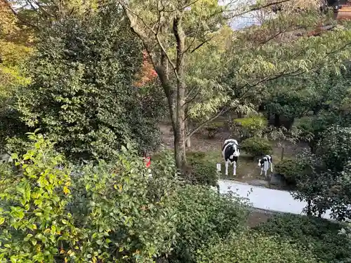 善光寺(長野県)