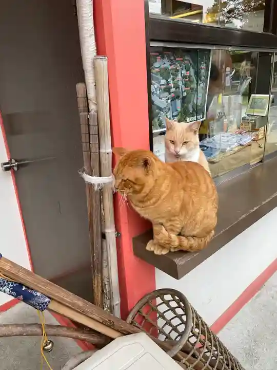 南法華寺(壷阪寺)(奈良県)