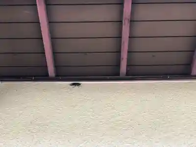 石内のお大師さん　金剛院(広島県)