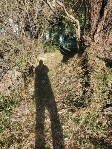 大塚神社（飛駒町）(栃木県)