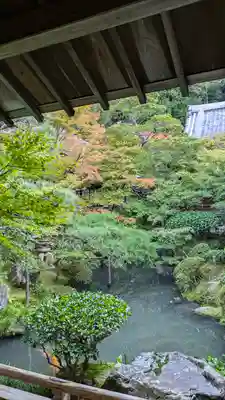 禅林寺(永観堂)(京都府)