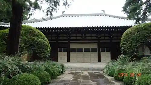 道場寺の本殿・本堂