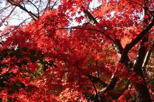 唐澤山神社(栃木県)