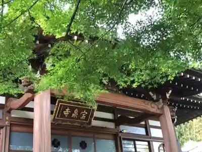 宝泉寺の本殿・本堂